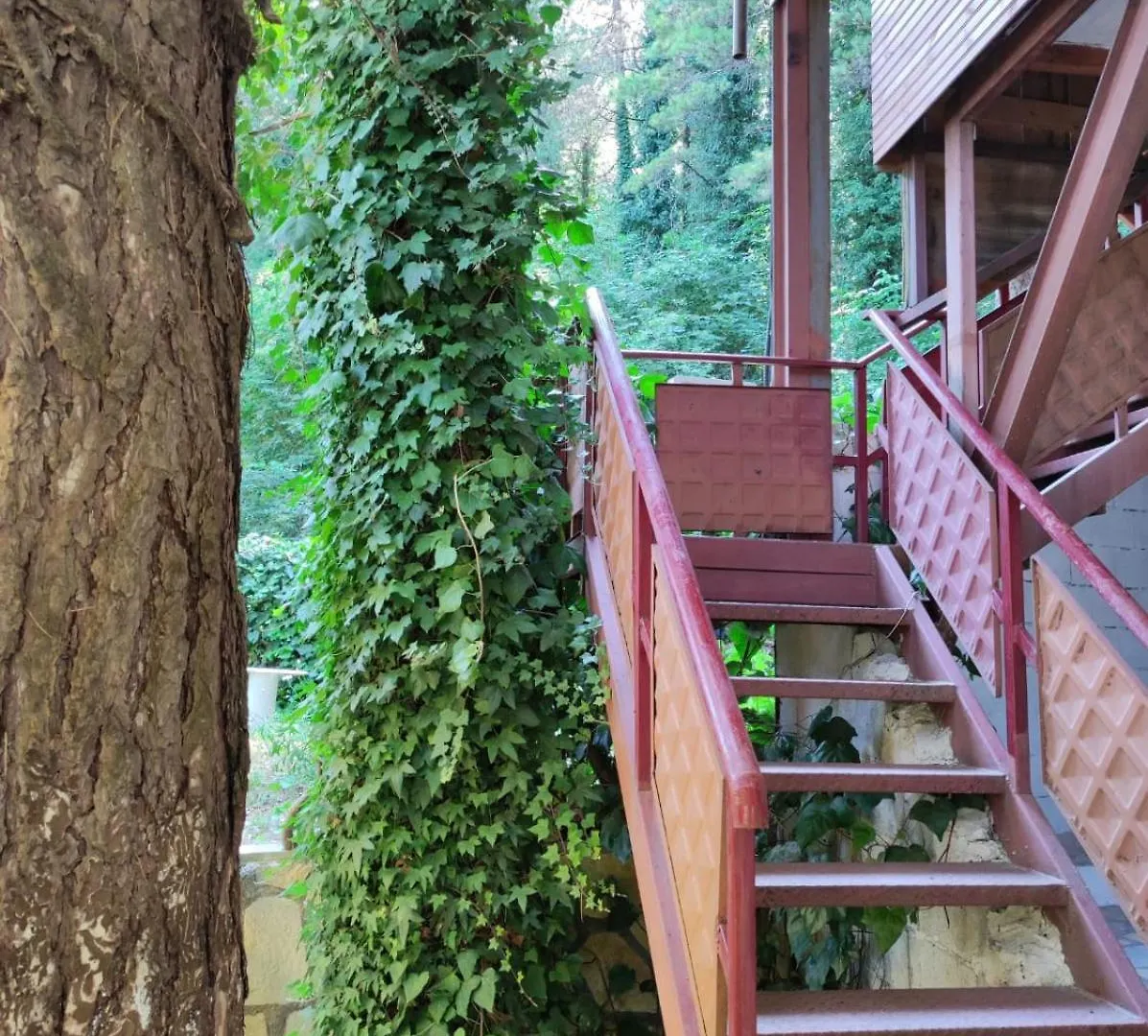 Hotel Toni Llogora Dukat 阿尔巴尼亚