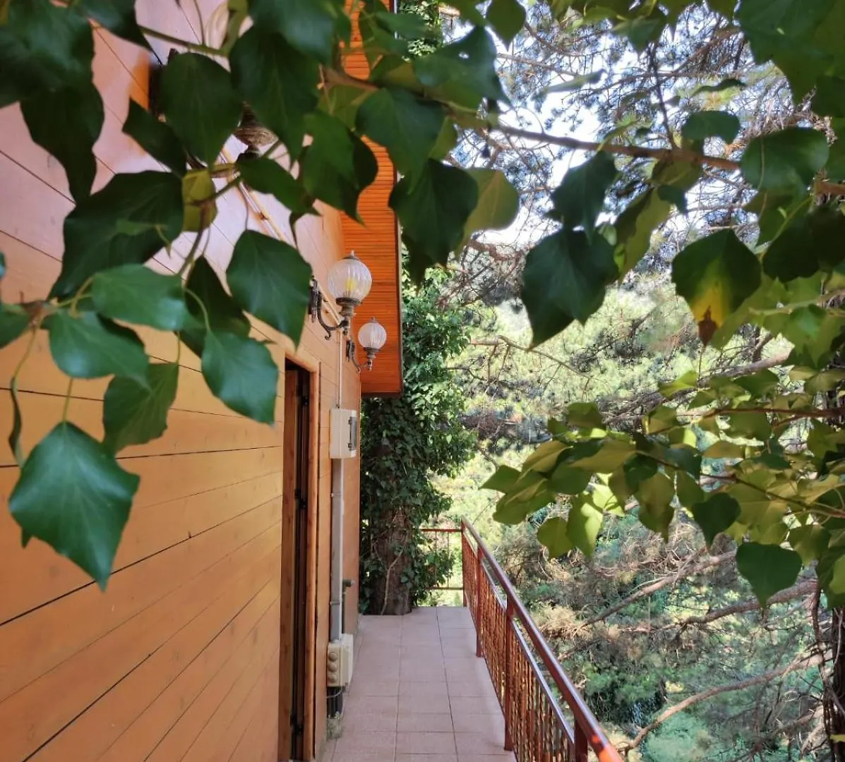 Hotel Toni Llogora Dukat 0*,